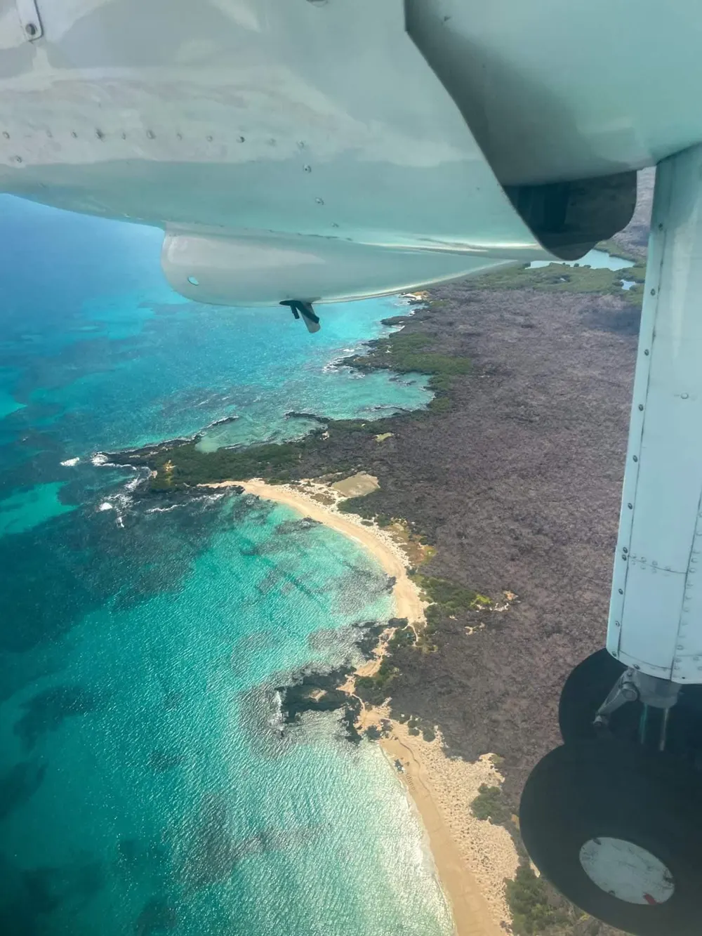 10-Day Mega Galapagos 360 – IDEAL