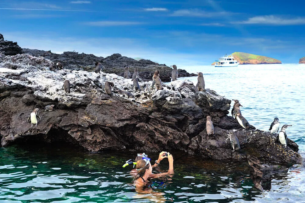 6 Day "Galapagos Wisdom" Tour - IDEAL