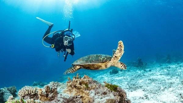 7 Day - Galapagos 360 Tour "A" - IDEAL