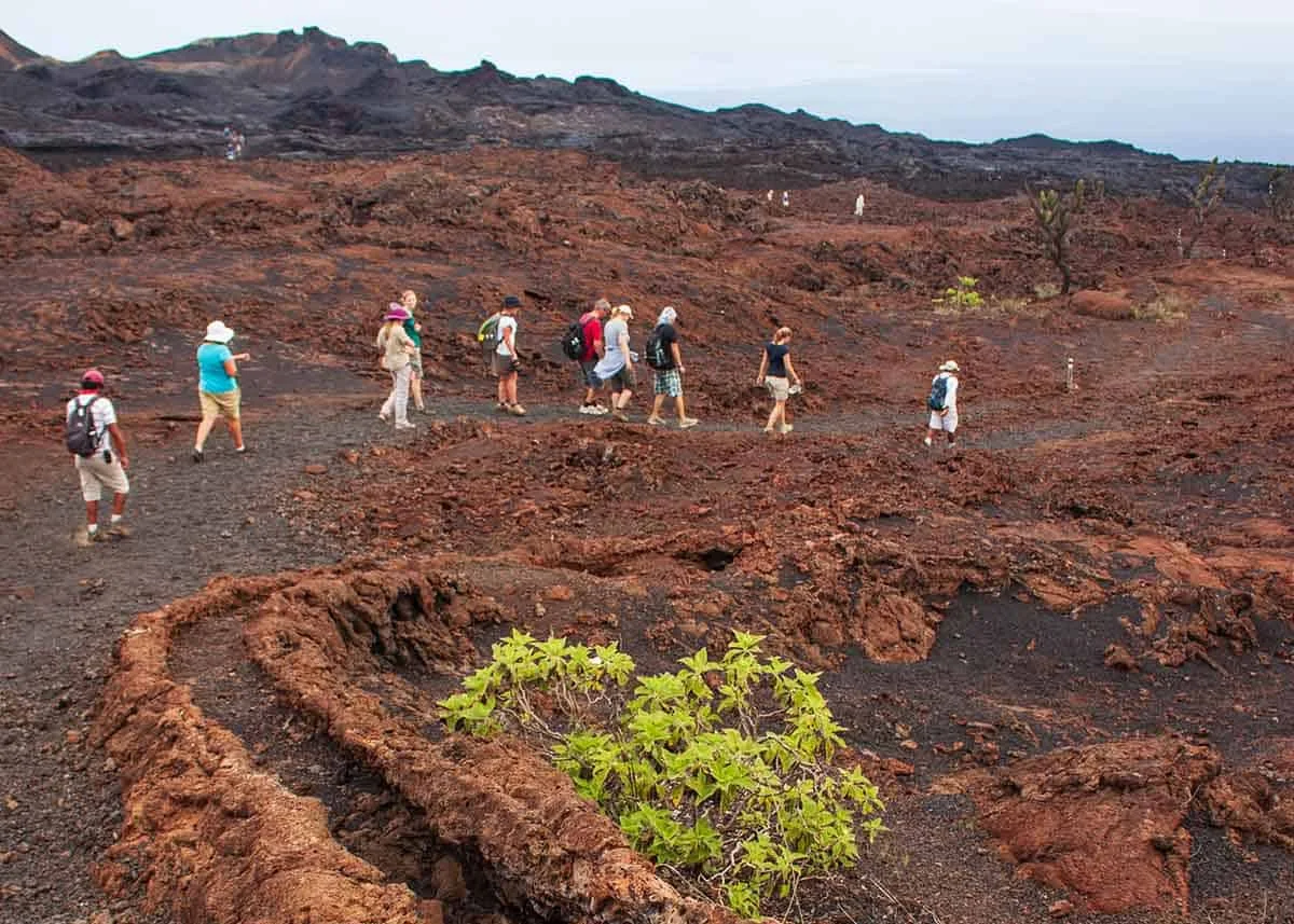 8 Day - Galapagos 360 Tour "A" - IDEAL