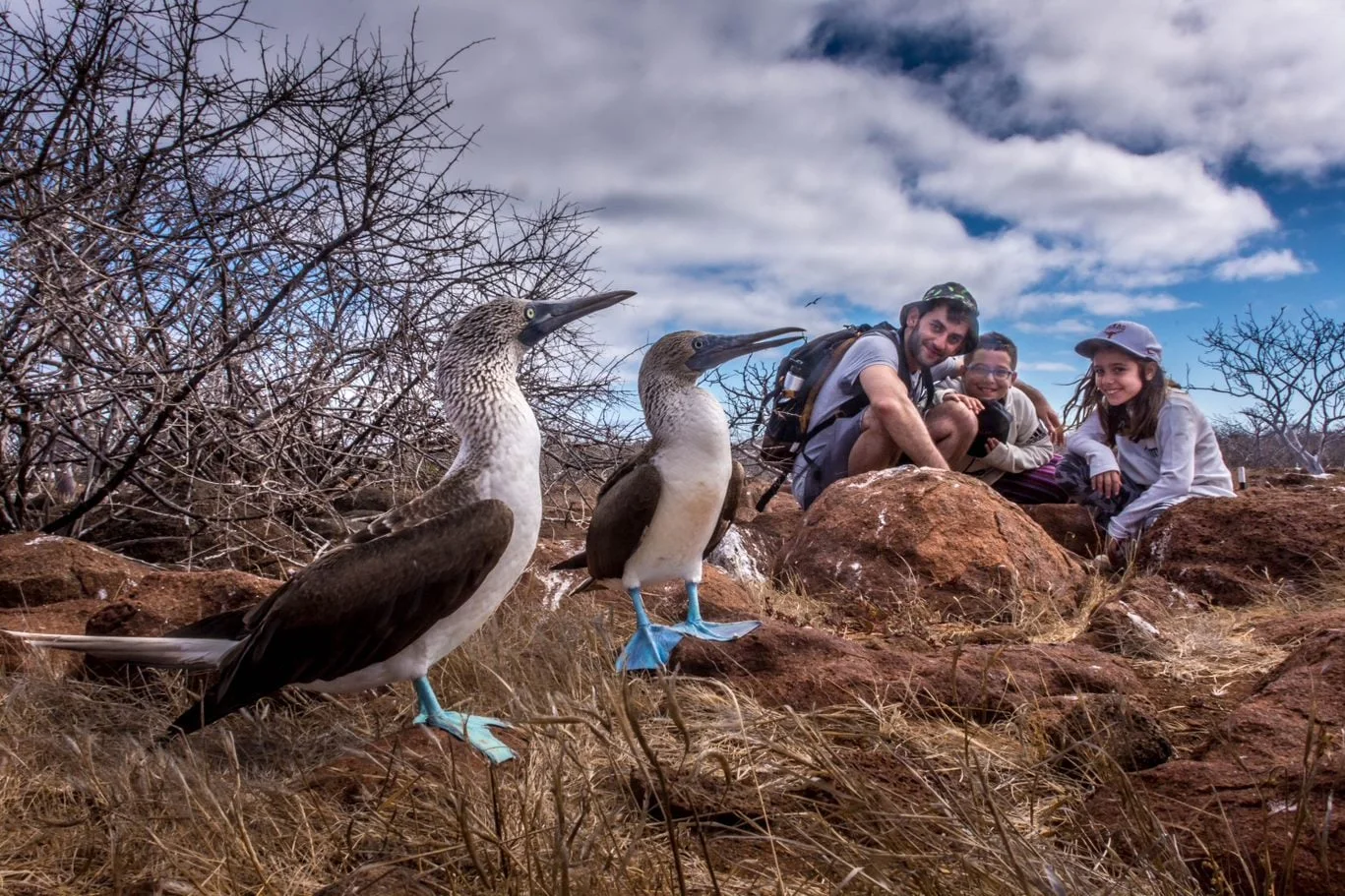 Family observing blue-footed boobies