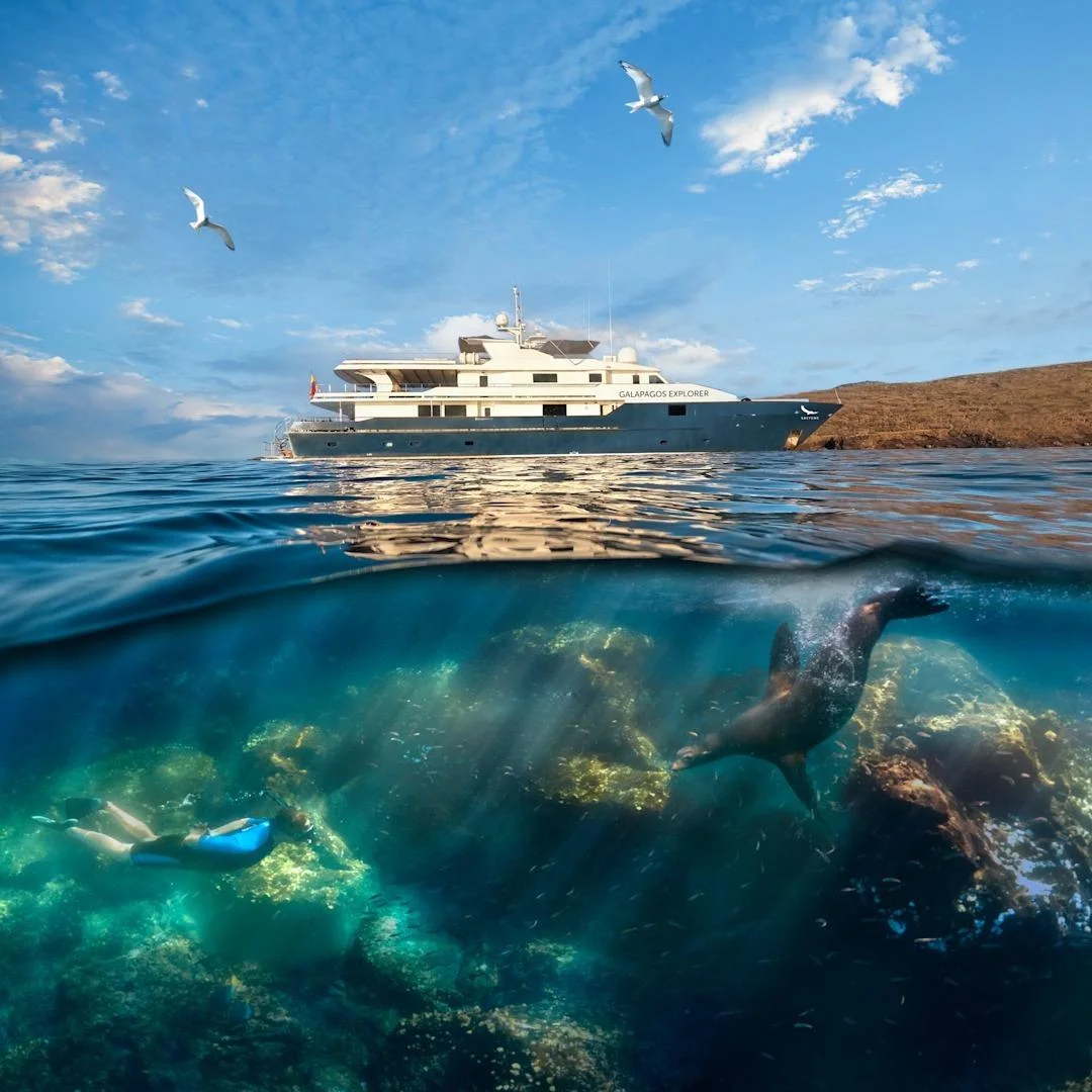 Cruises