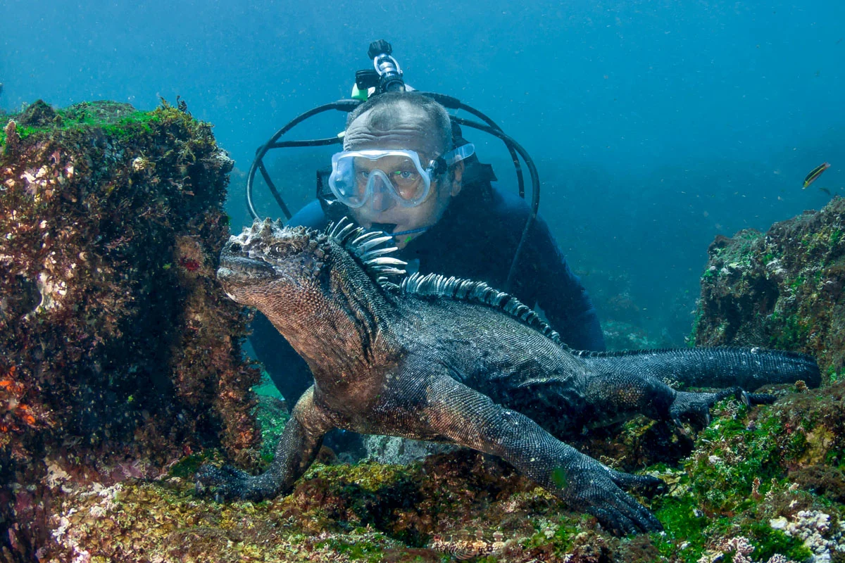 Diver exploring Galapagos reef