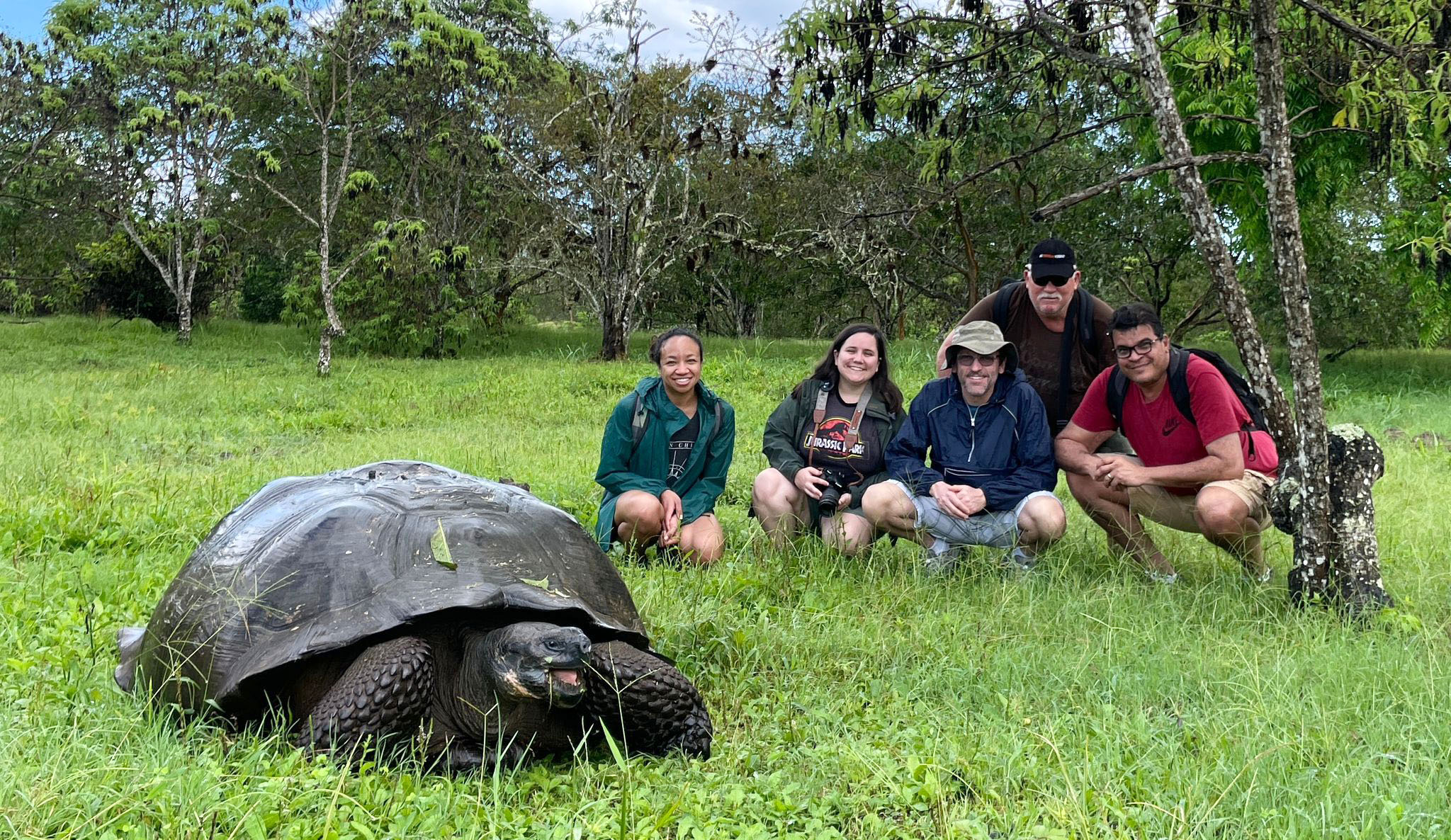 Giant Tortoise