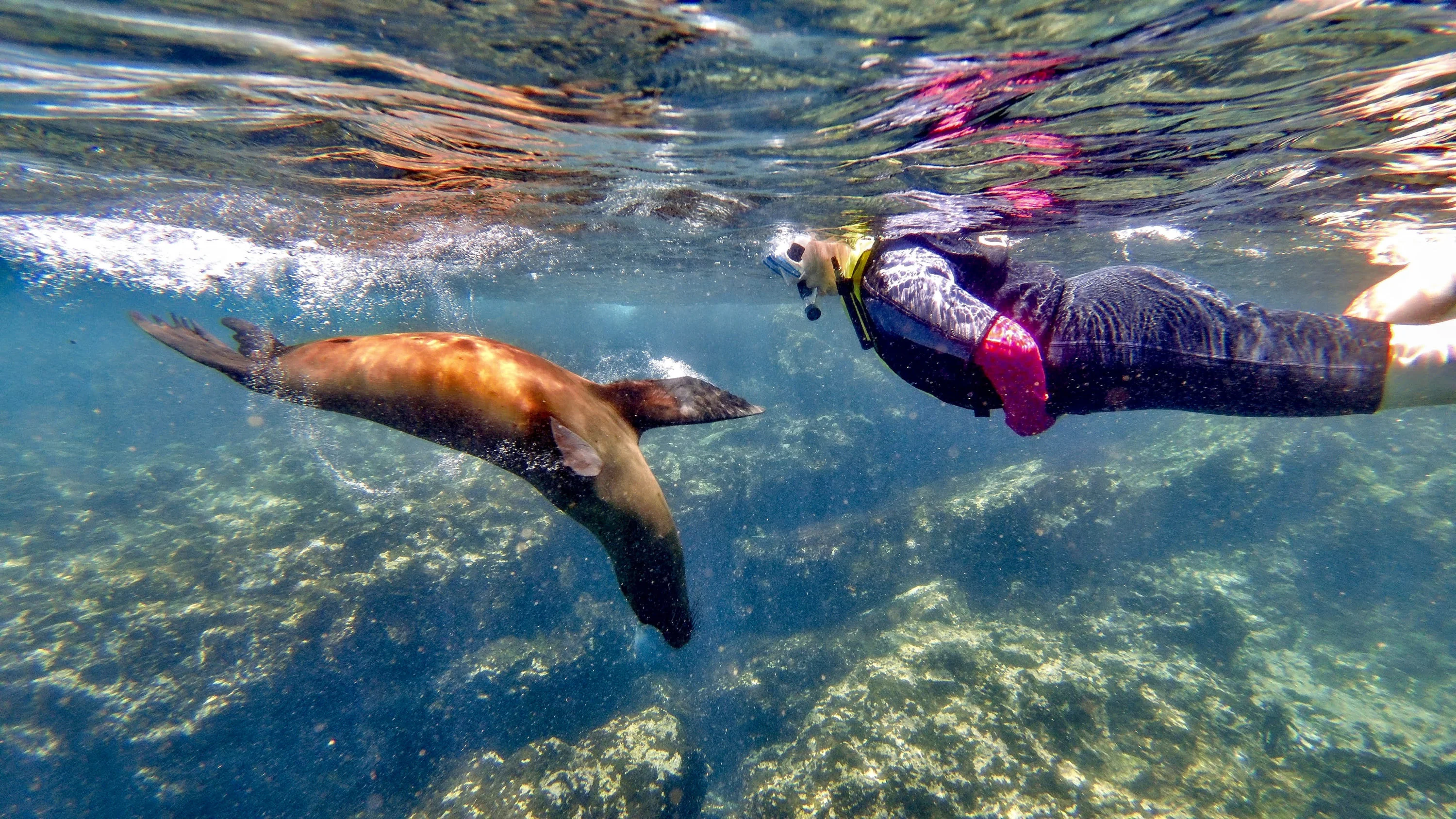 Snorkeling