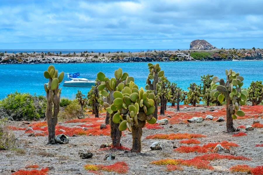 11 Day - Mega Galapagos 360 "A" - IDEAL