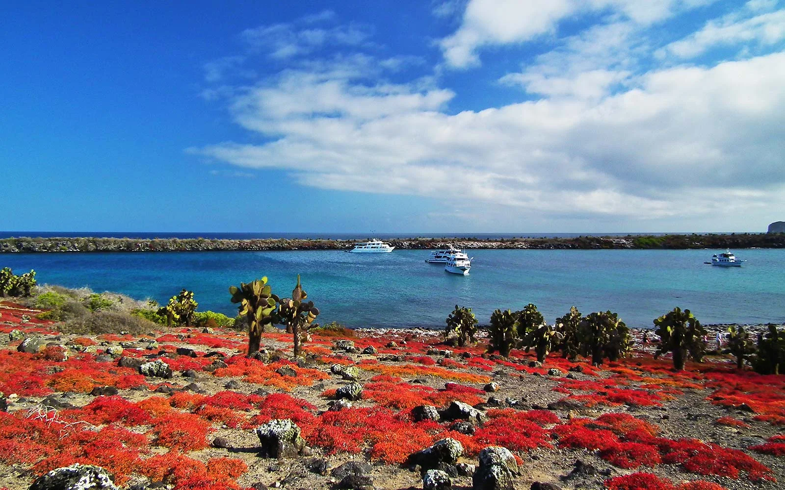 10 Day - Mega Galapagos 360 Tour "A" - ESSENTIAL