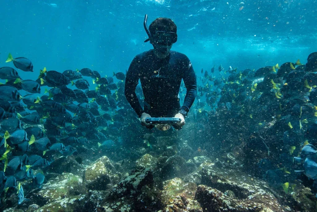 Below the surface, Bartolome reveals a completely different side of the islands.
