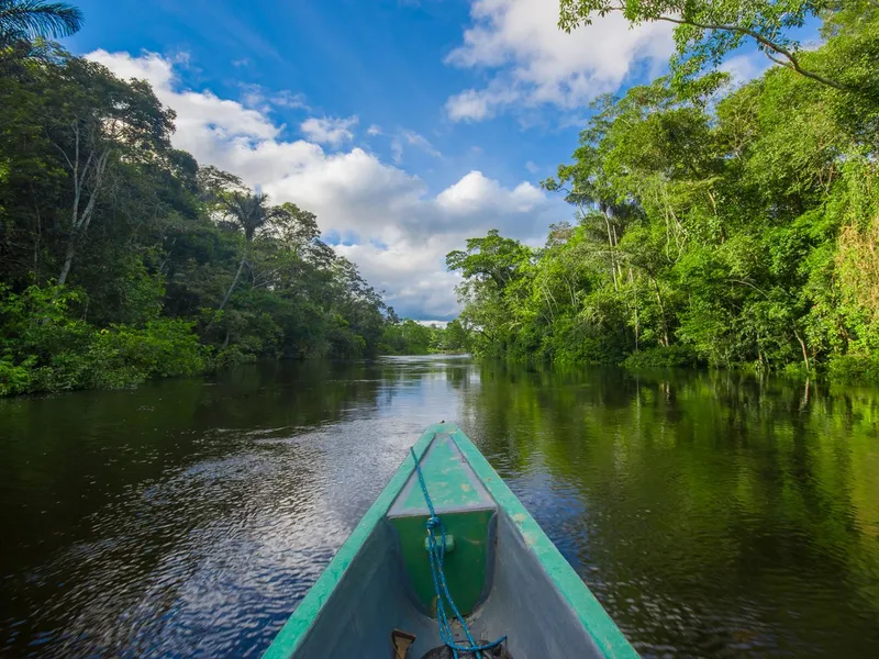 River in the Ecuadorian Amazon surrounded by rainforest