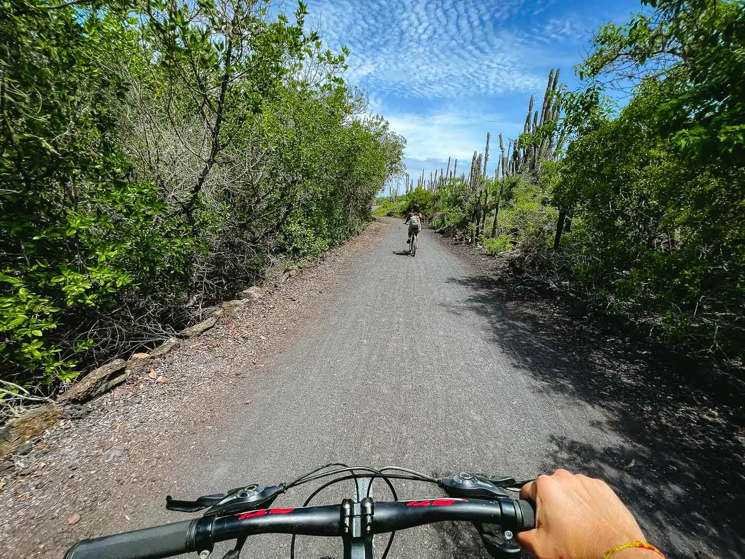 Santa Cruz - Isabela Island & Bike Adventure