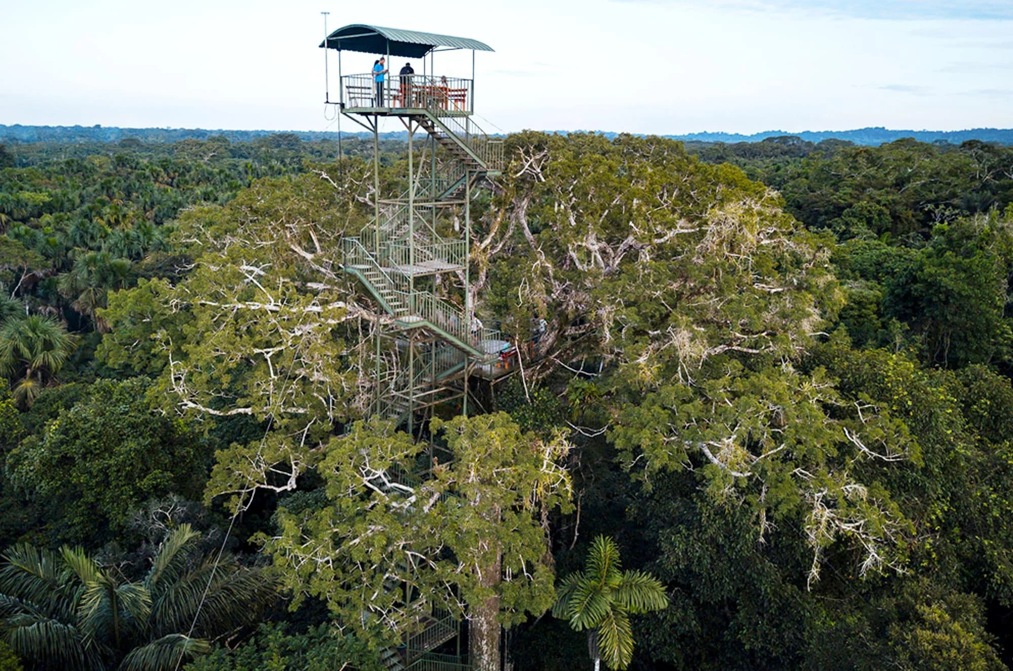 Day 2: Exploring the Heart of the Amazon Rainforest