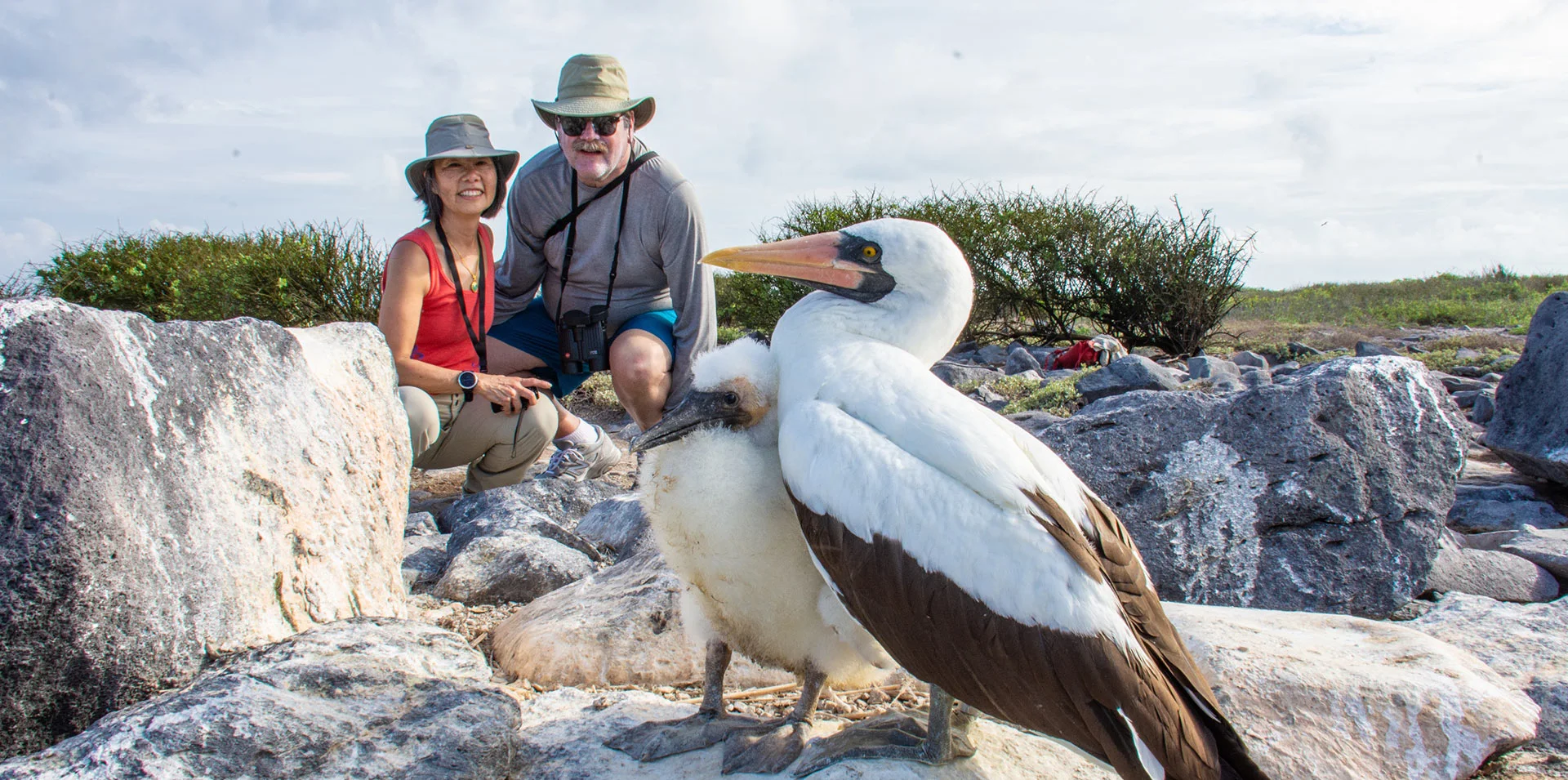Couple near Nazca boobies in the Galapagos