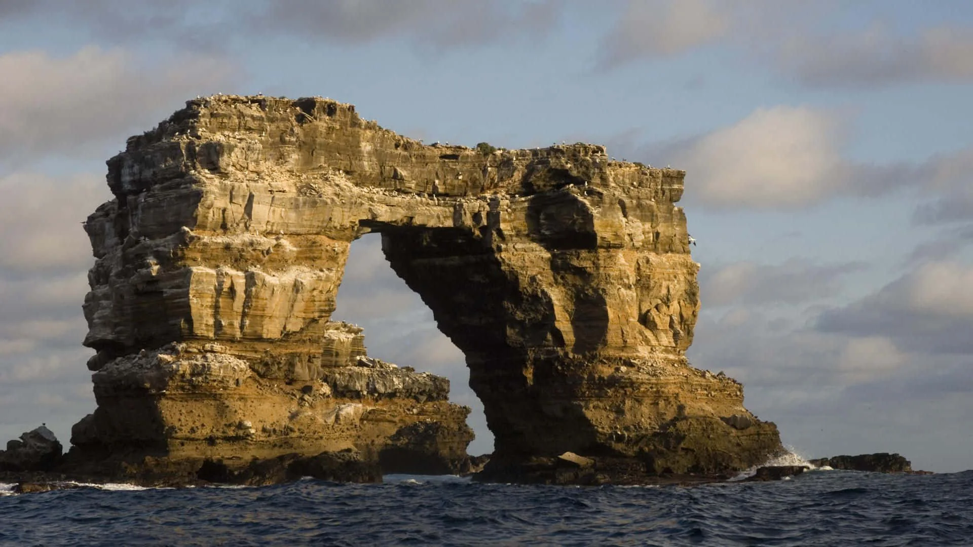 Darwin Island