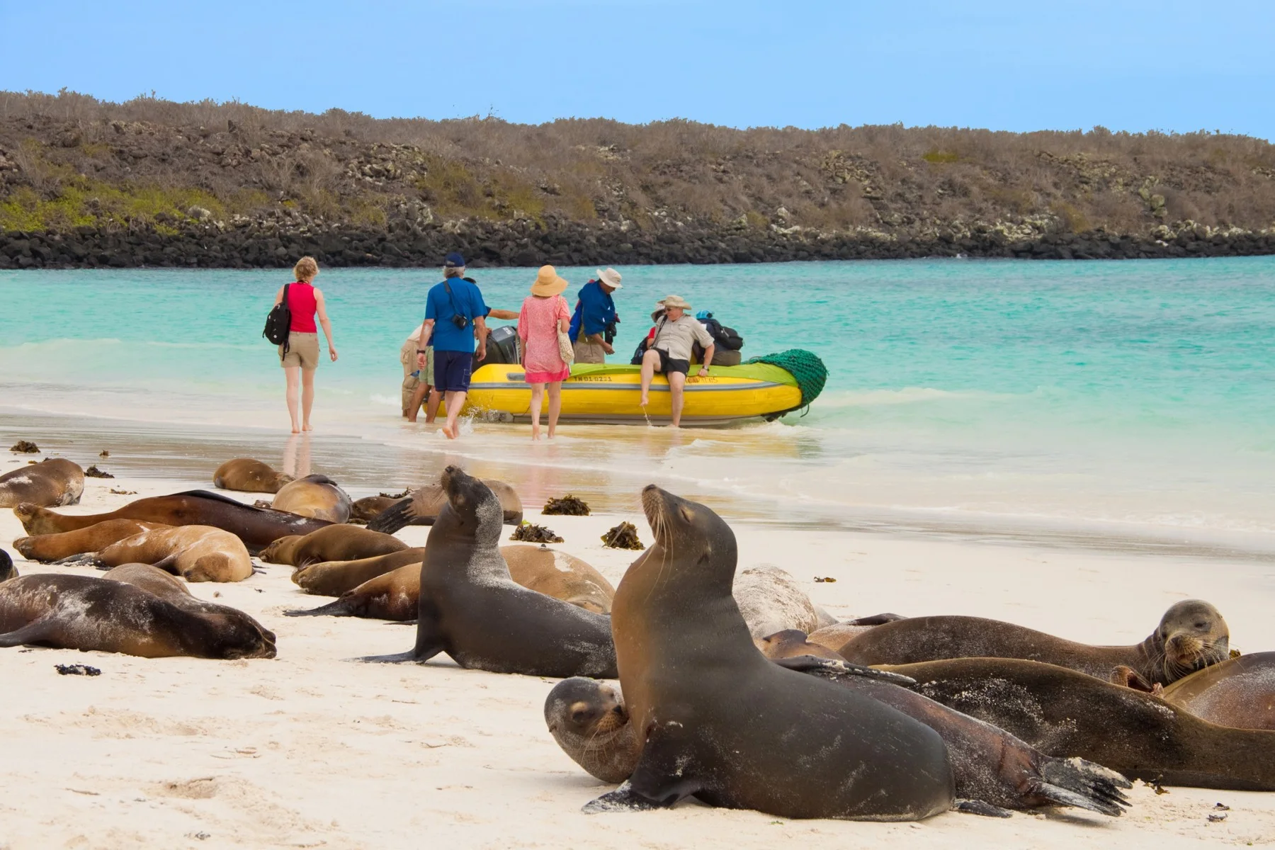 Reaching remote shores by boat: one of the ways cruising opens the door to some of the Galapagos’ wildest landscapes.