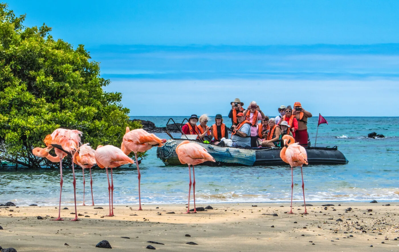 Island Hopping vs Cruises