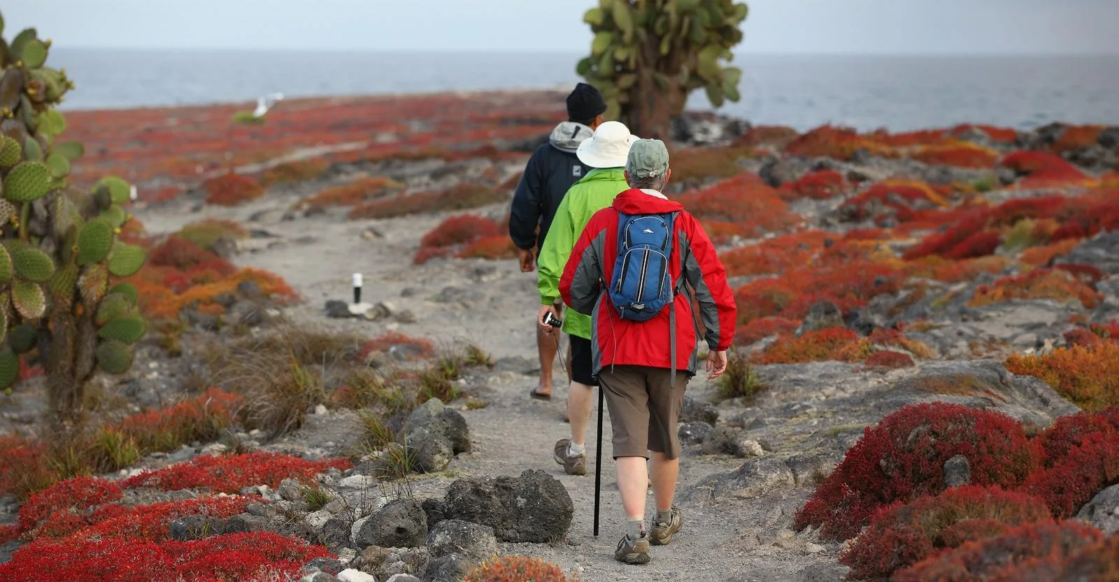 From volcanic trails to the open ocean, adventure takes many forms in Galapagos.