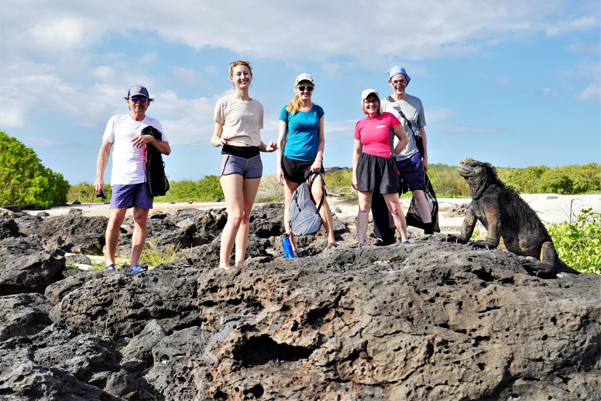 Family exploring volcanic shoreline with iguanas