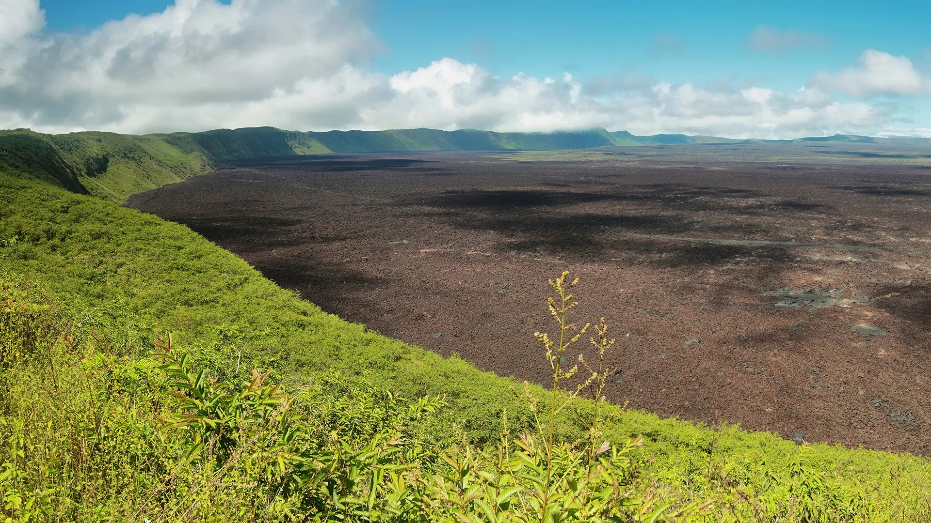 Green Galapagos landscape