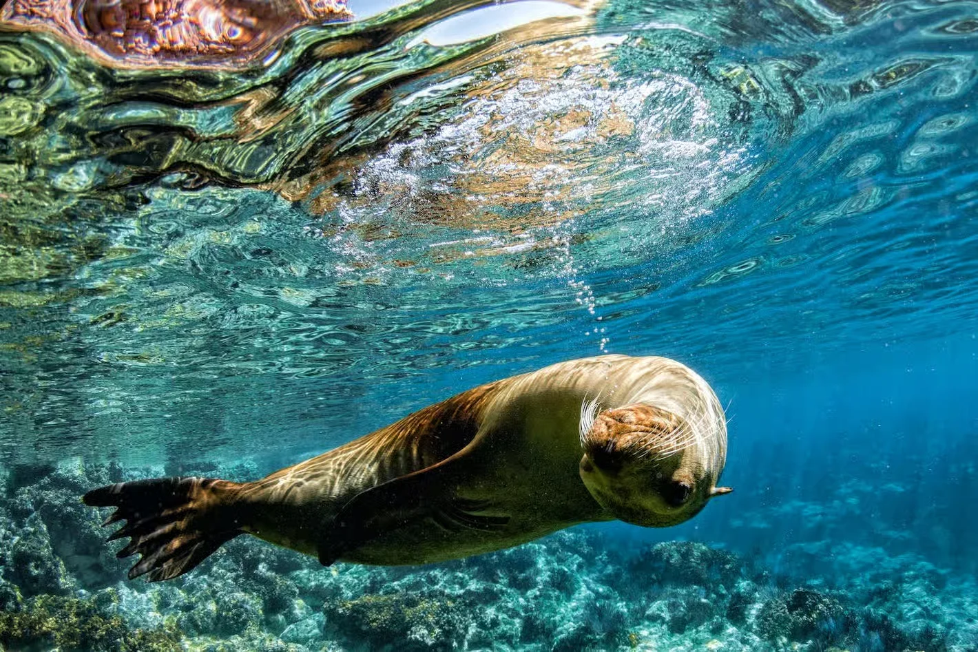 A well-planned Island Hopping itinerary can bring together wildlife, landscapes, snorkeling and more.