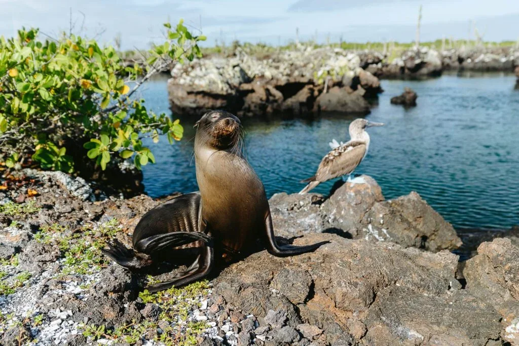 Every island offers a different way to experience Galapagos.