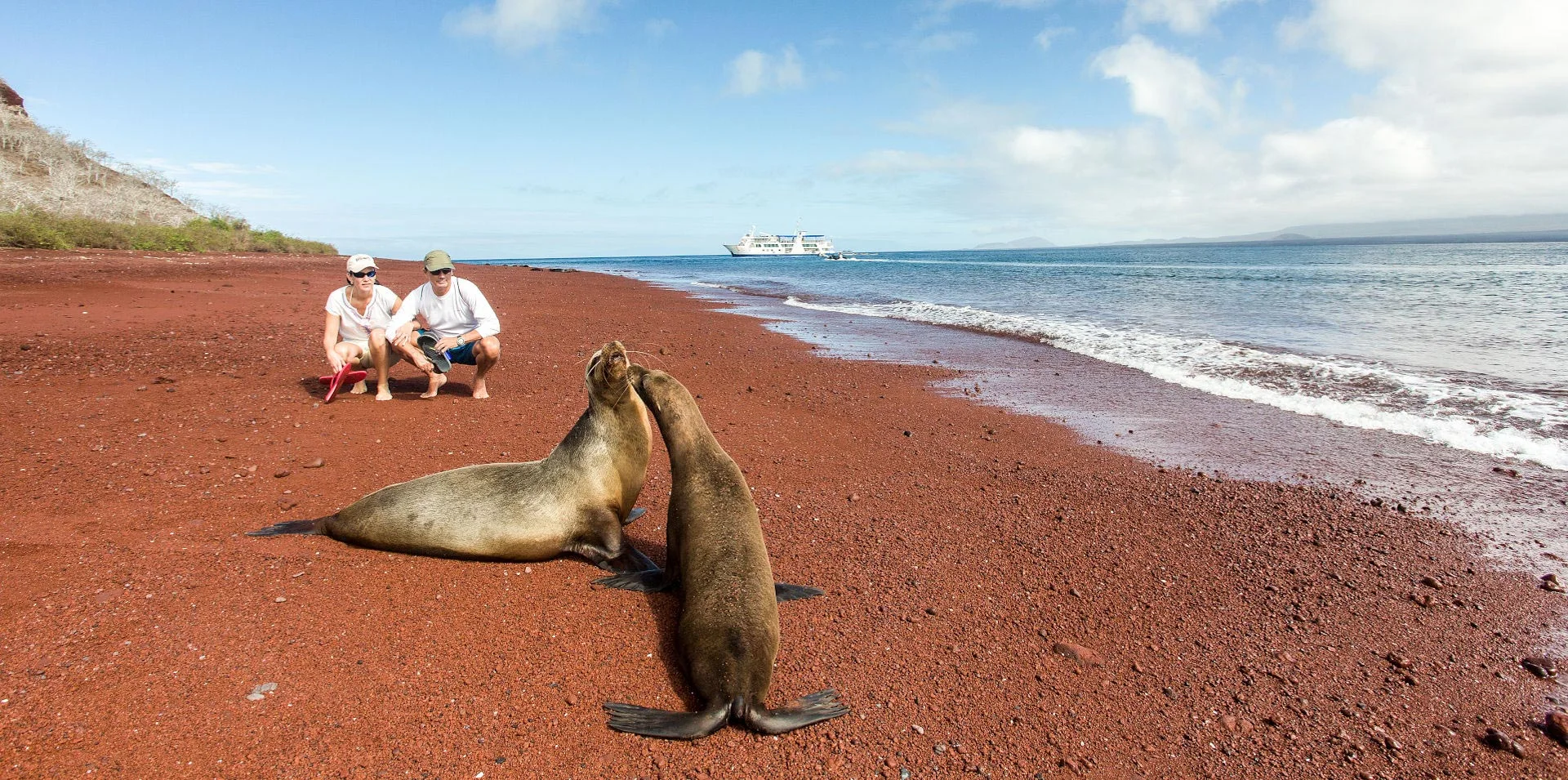 Animals are often remarkably close to visitors.