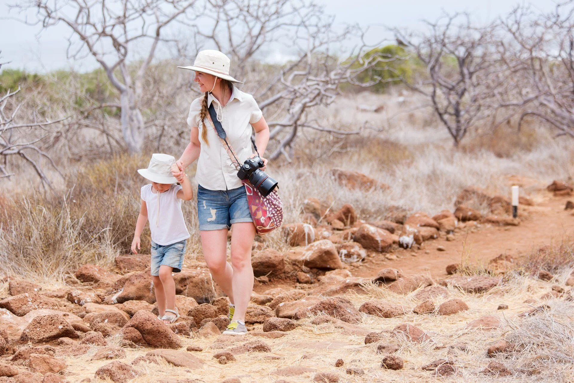 Explore the islands through shared discovery