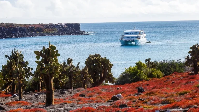 Exploring the Galapagos by yacht is one of the ways to reach more remote visitor sites.