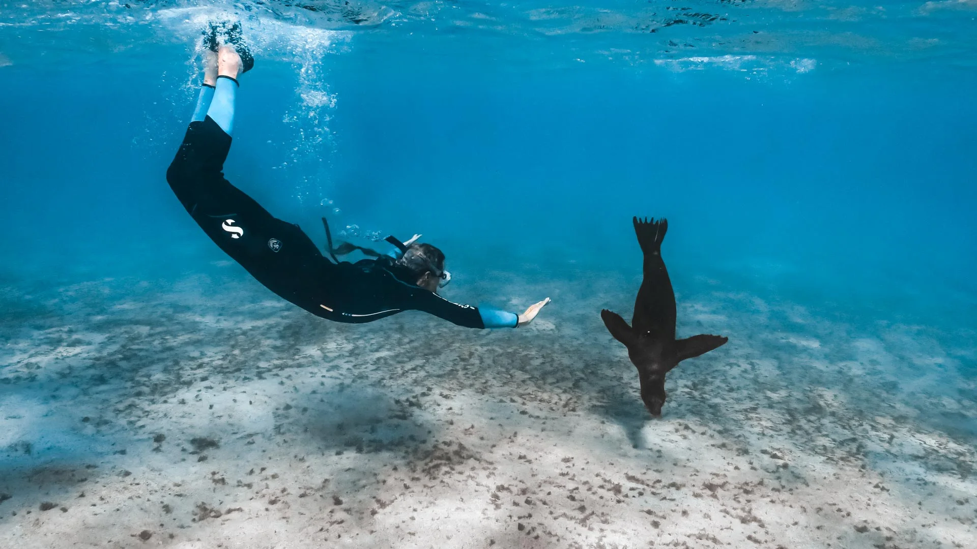 Snorkeling