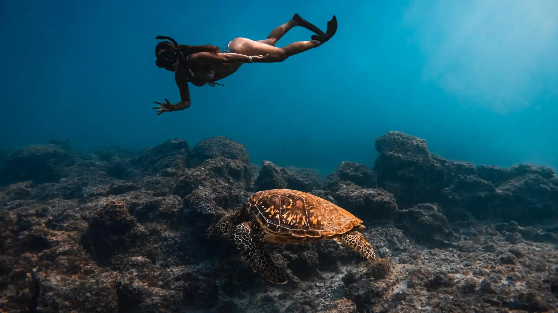 Snorkeling