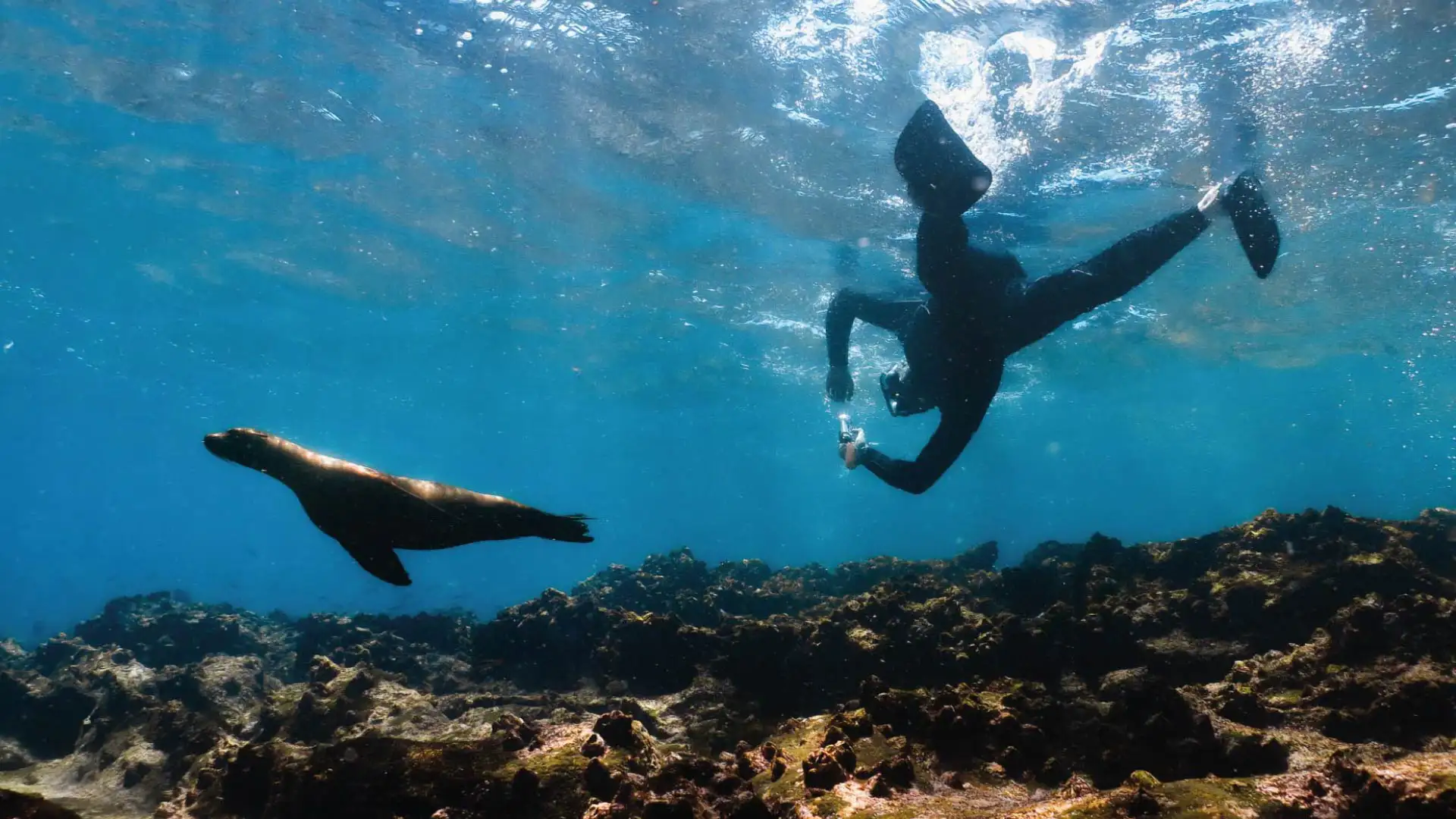 Snorkeling