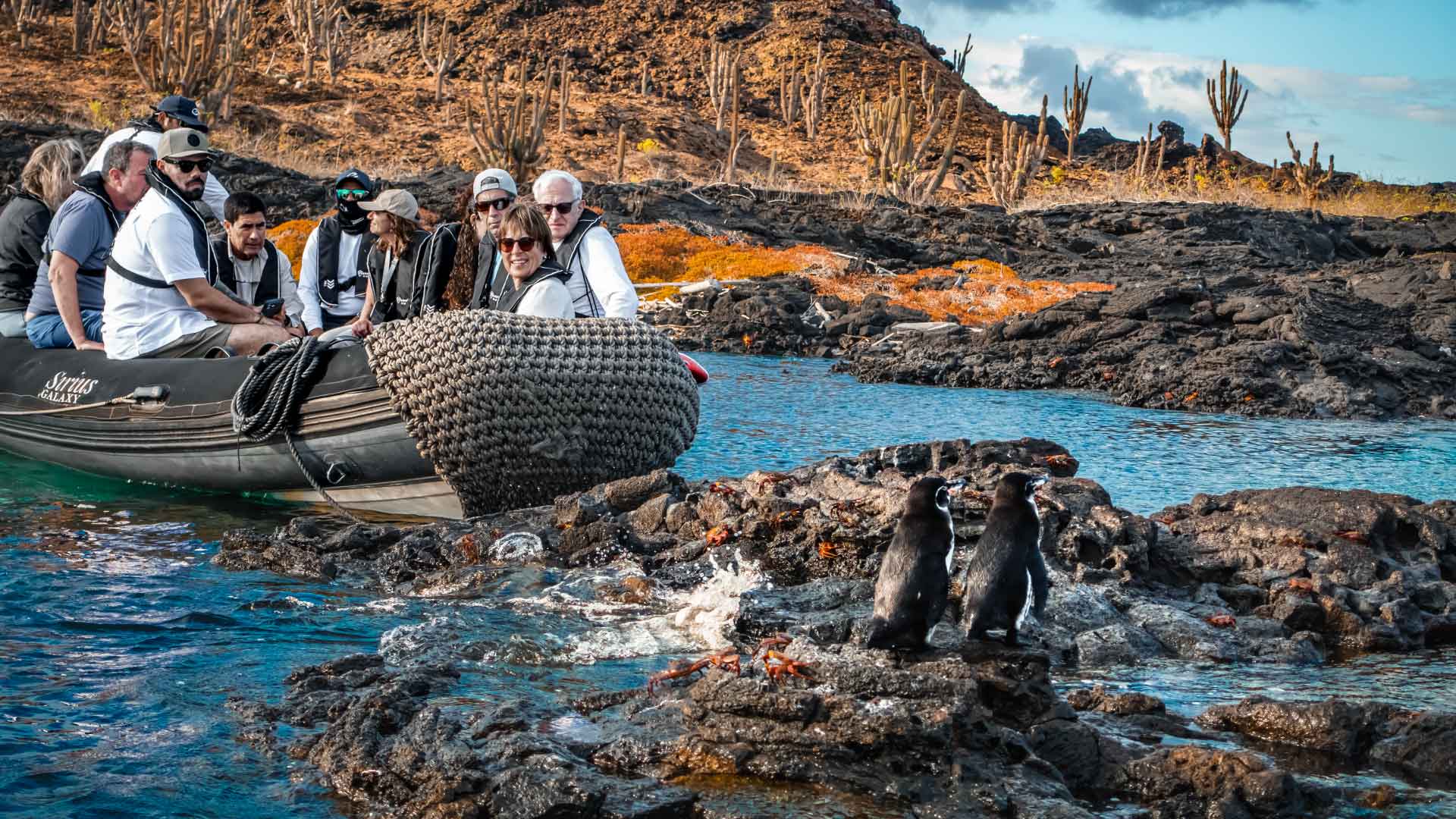 Coastal Exploration & Wildlife Encounters