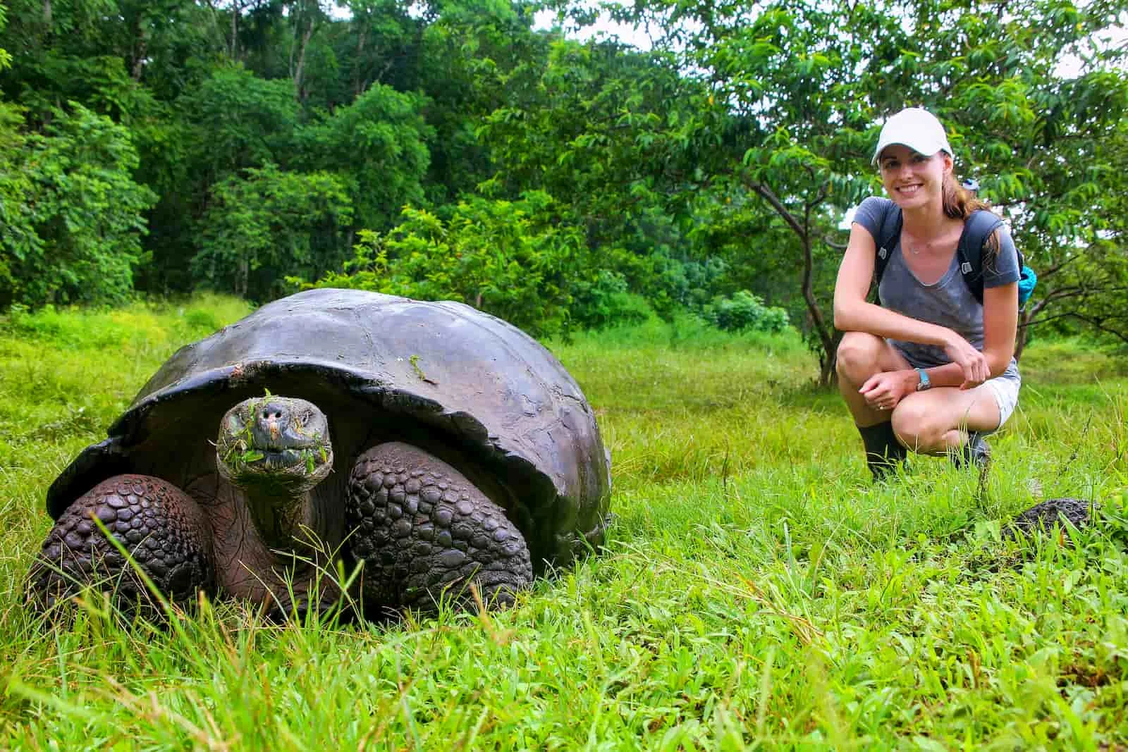 Wildlife Encounters