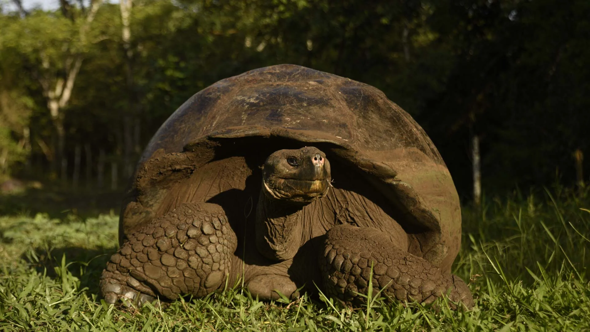9 Day - Galapagos 360 Tour "A" - SUPERIOR