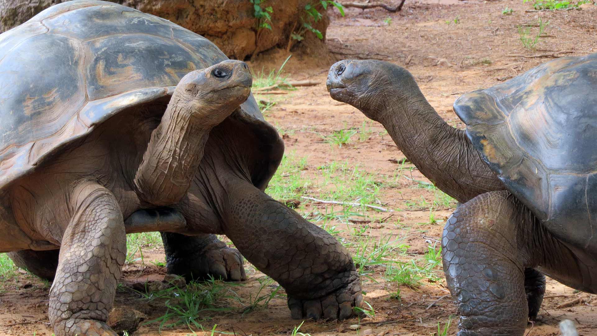 8 Day Galapagos 360 Tour A Essential