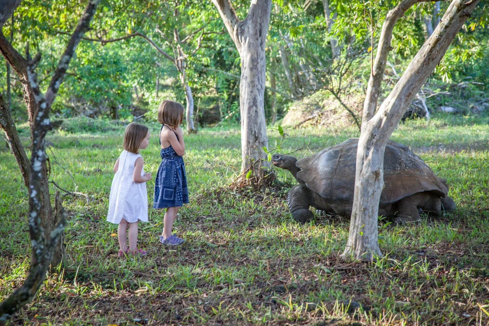 Galapagos can be a shared experience for travelers of all ages.