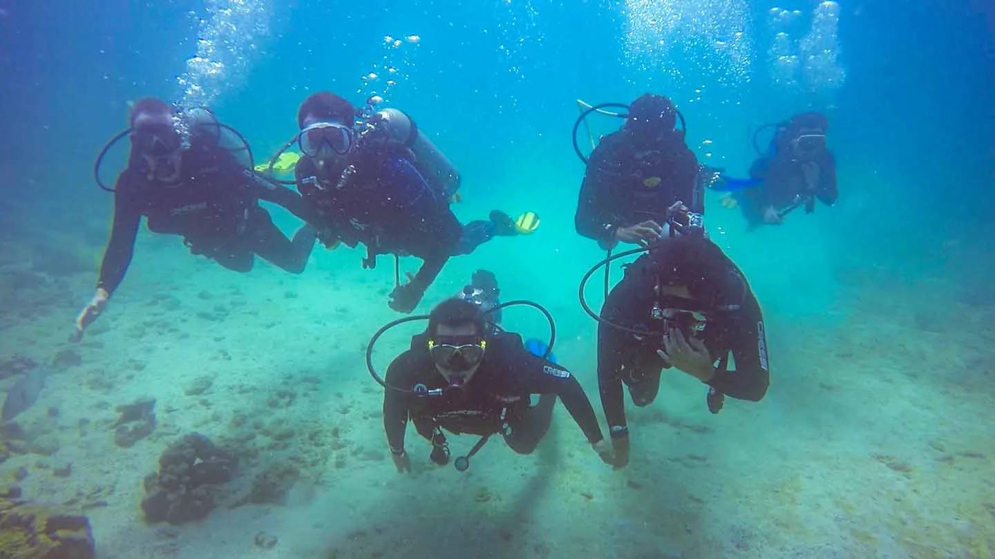 North Seymour & Mosquera (or Daphne) – Diving Adventure