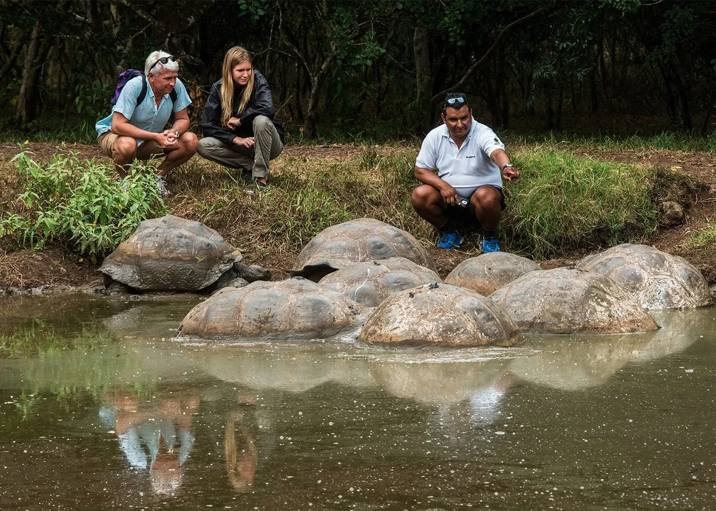 Guided Wildlife Excursions