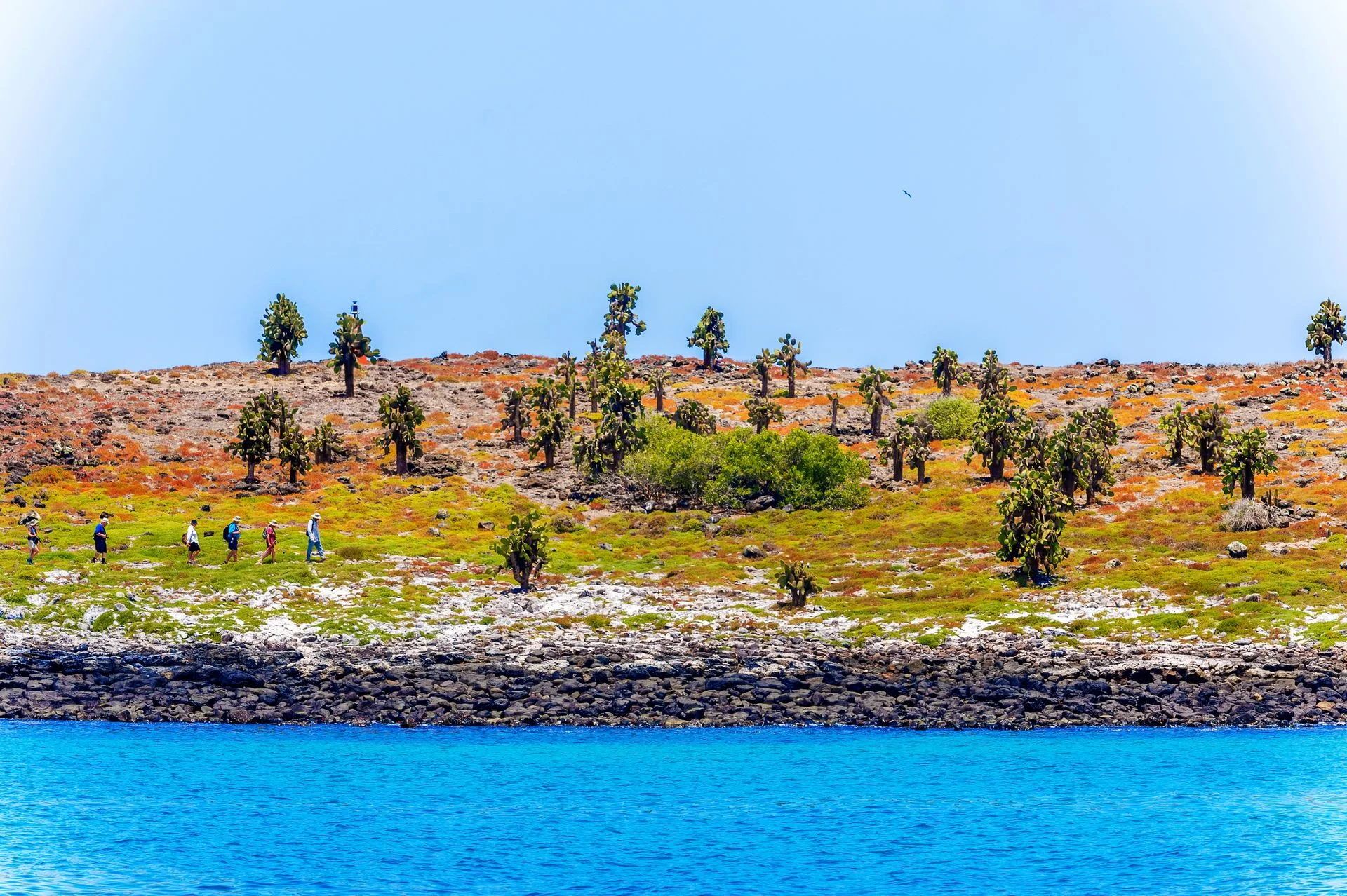 Santa Fé Island | Snorkeling Adventure & Hidden Beach