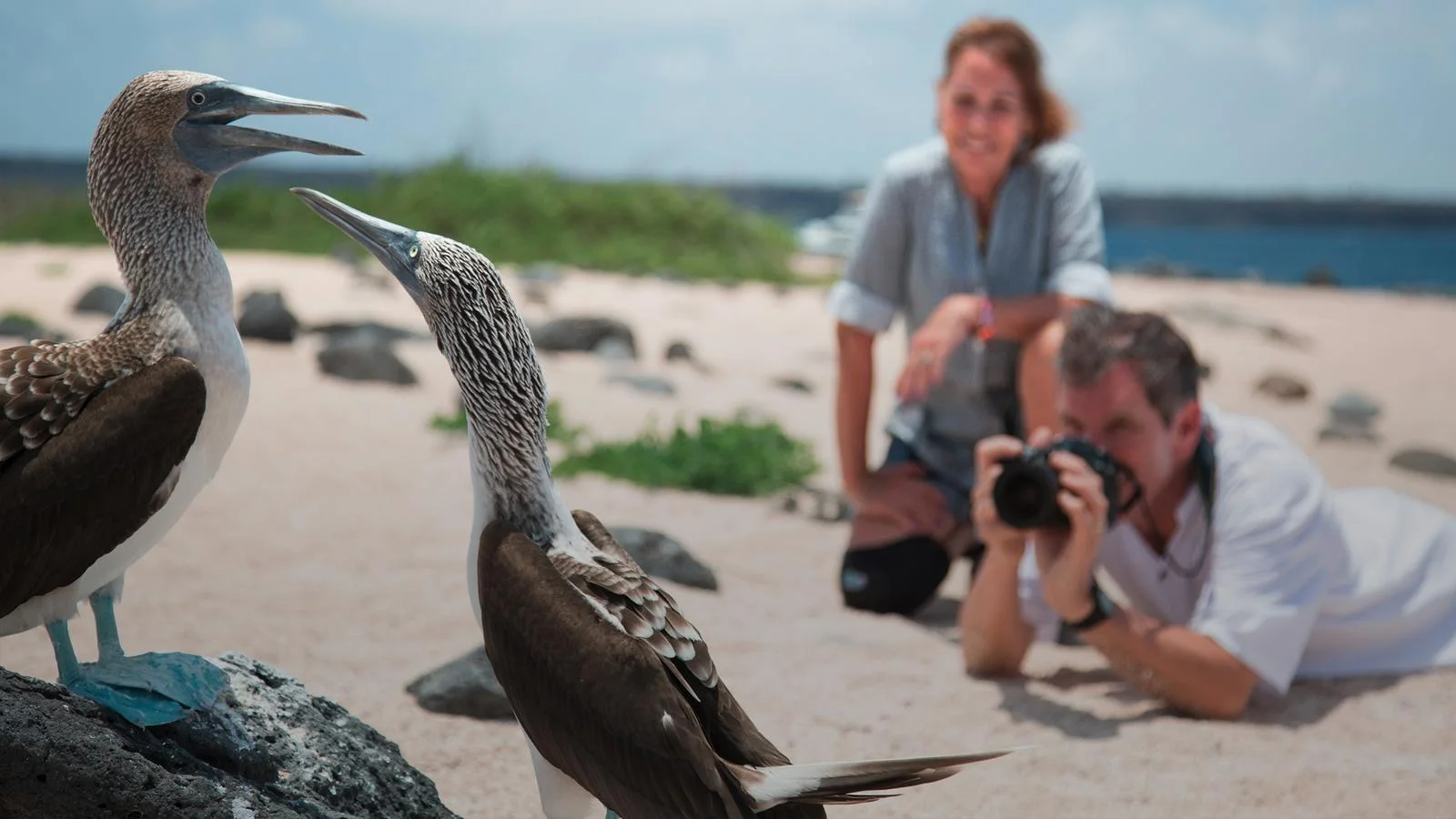 5 Day "Bela Isabela Galapagos" Tour - ESSENTIAL