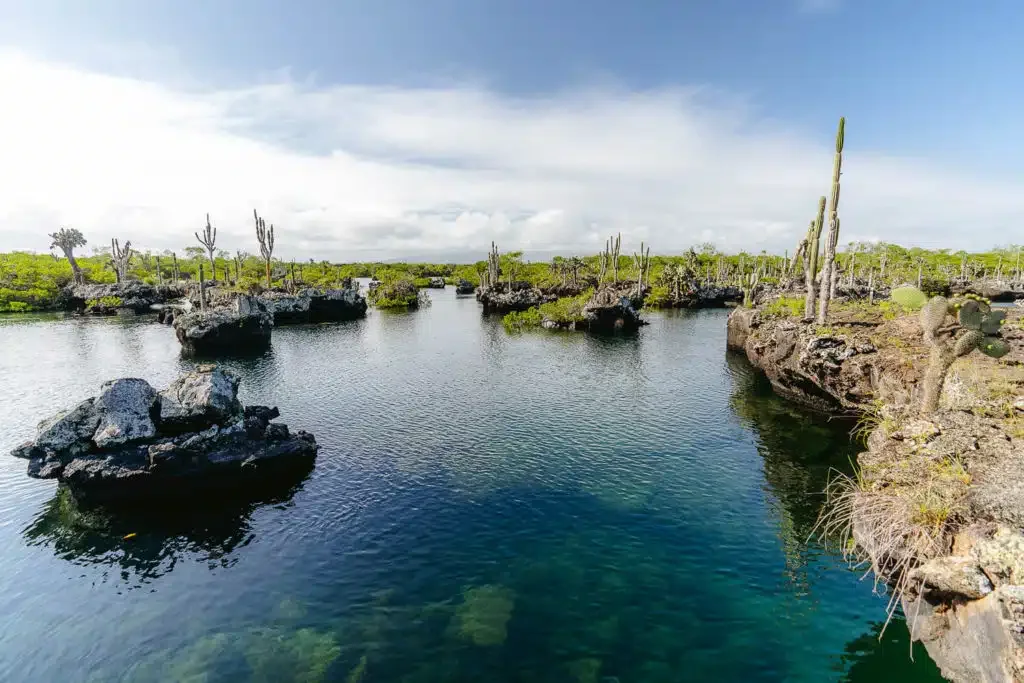 Isabela Island offers a completely different side of Galapagos, from volcanic lava tunnels to the marine life of Cabo Rosas.