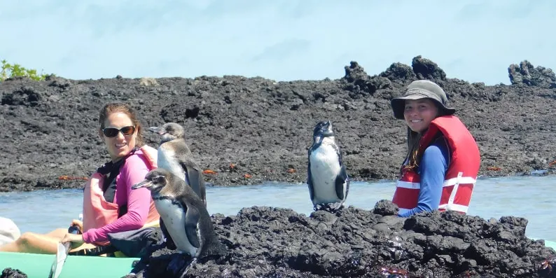 Kayaking around Las Tintoreras offers a different perspective on Isabela's wildlife and volcanic coastline