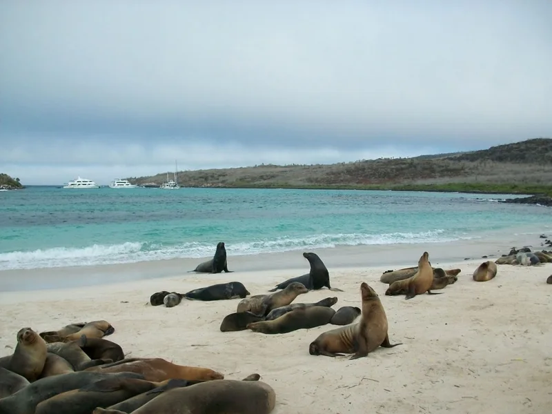 San Cristobal - Lobos Island Adventure