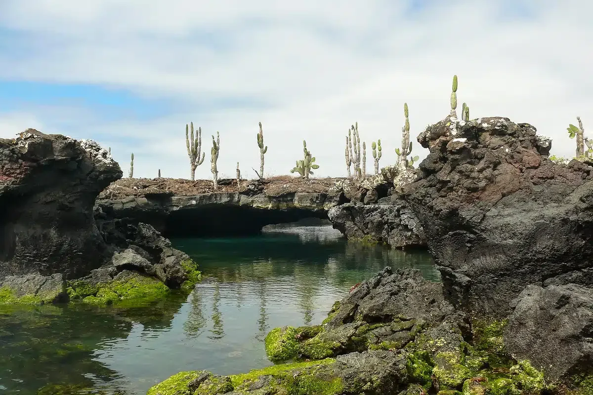 Isabela Island – Lava Tunnels & Cabo Rosa