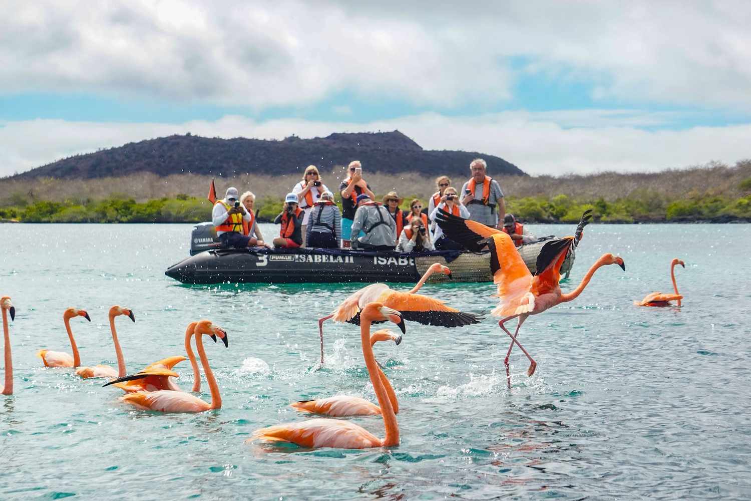 Discover visitor sites beyond the ordinary