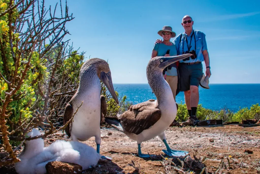 Galapagos Month by Month