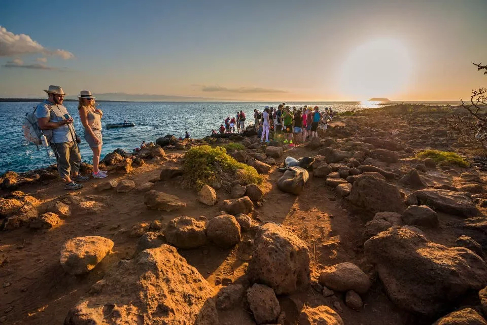 Some of the most memorable Galapagos moments happen when wildlife is right in front of you.