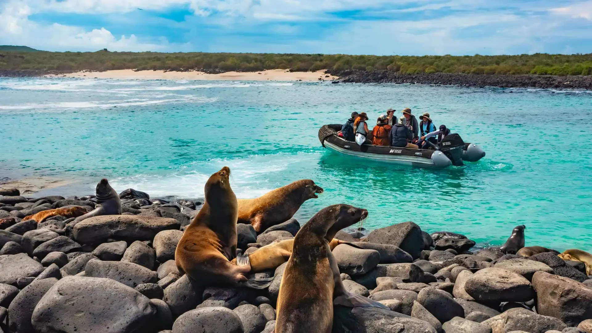 Panga Rides