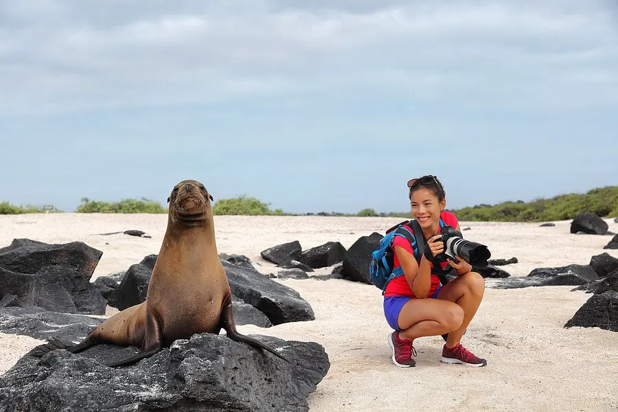 Close Wildlife Encounters