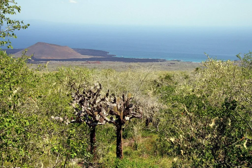 Pinta Island