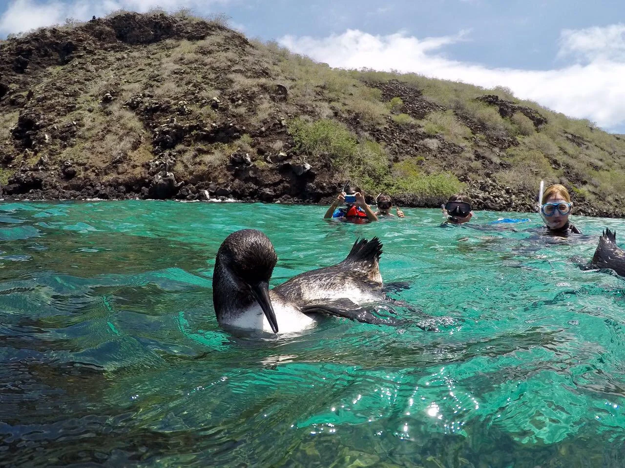 Pinzón Island & La Fe – Snorkeling Adventure